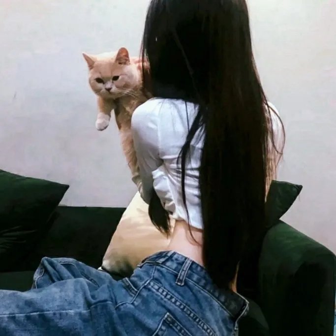 孤独的野兽