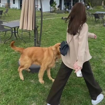 想摆脱公主教育的我